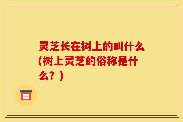 灵芝长在树上的叫什么(树上灵芝的俗称是什么?)