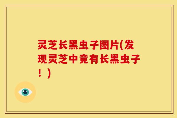 灵芝长黑虫子图片(发现灵芝中竟有长黑虫子!)