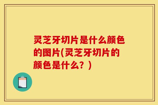 灵芝牙切片是什么颜色的图片(灵芝牙切片的颜色是什么?)