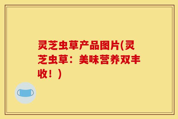 灵芝虫草产品图片(灵芝虫草:美味营养双丰收!)