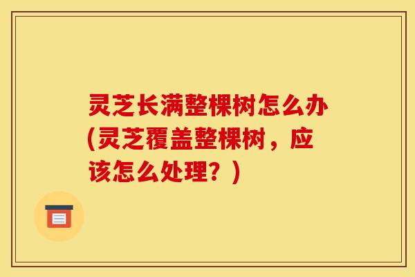 灵芝长满整棵树怎么办(灵芝覆盖整棵树，应该怎么处理？)