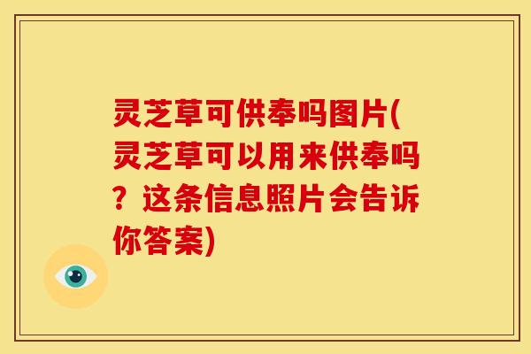 灵芝草可供奉吗图片(灵芝草可以用来供奉吗?这条信息照片会告诉你答案)