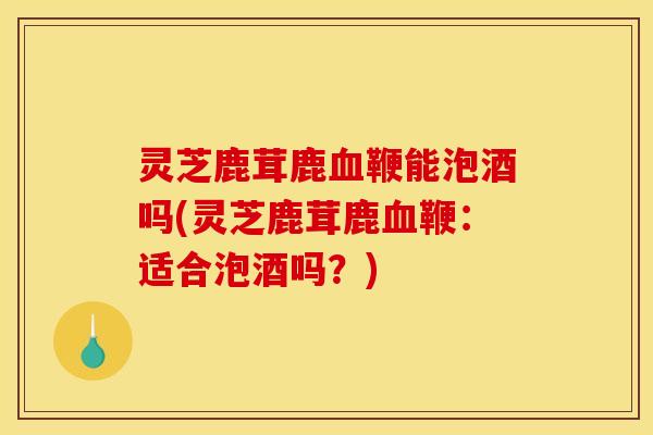 灵芝鹿茸鹿血鞭能泡酒吗(灵芝鹿茸鹿血鞭：适合泡酒吗？)