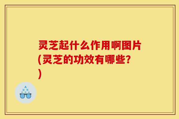 灵芝起什么作用啊图片(灵芝的功效有哪些？)