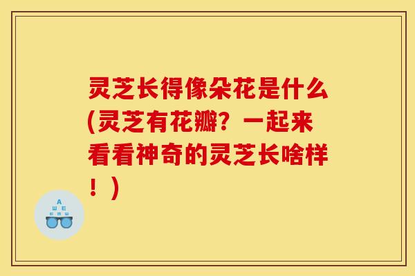 灵芝长得像朵花是什么(灵芝有花瓣?一起来看看神奇的灵芝长啥样!)