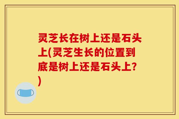 灵芝长在树上还是石头上(灵芝生长的位置到底是树上还是石头上？)