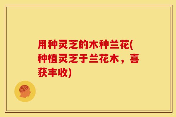 用种灵芝的木种兰花(种植灵芝于兰花木,喜获丰收)