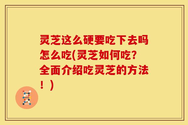 灵芝这么硬要吃下去吗怎么吃(灵芝如何吃?全面介绍吃灵芝的方法!)