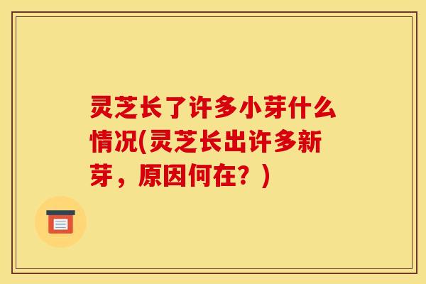 灵芝长了许多小芽什么情况(灵芝长出许多新芽,原因何在?)