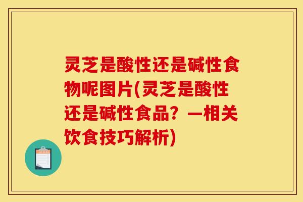 灵芝是酸性还是碱性食物呢图片(灵芝是酸性还是碱性食品?—相关饮食技巧解析)