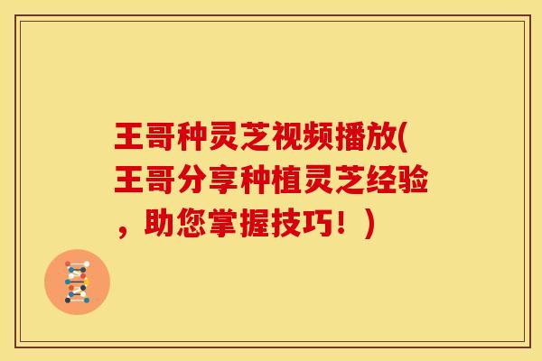 王哥种灵芝视频播放(王哥分享种植灵芝经验,助您掌握技巧!)