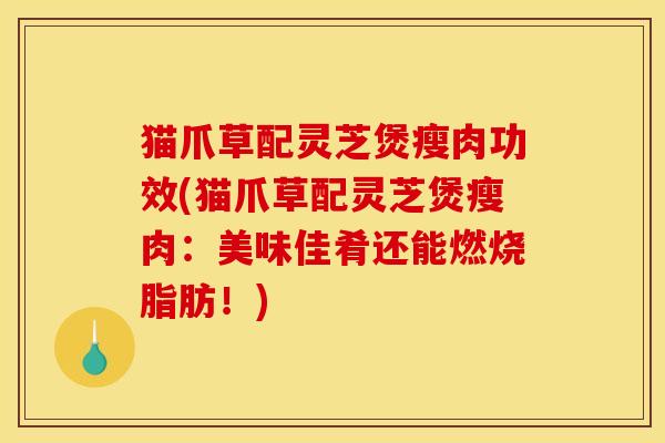 猫爪草配灵芝煲瘦肉功效(猫爪草配灵芝煲瘦肉：美味佳肴还能燃烧脂肪！)