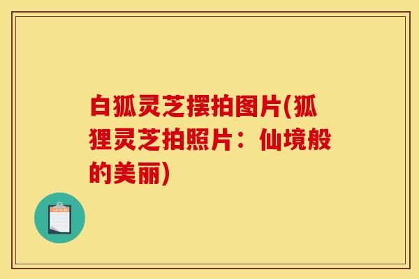 白狐灵芝摆拍图片(狐狸灵芝拍照片:仙境般的美丽)