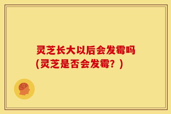 灵芝长大以后会发霉吗(灵芝是否会发霉?)