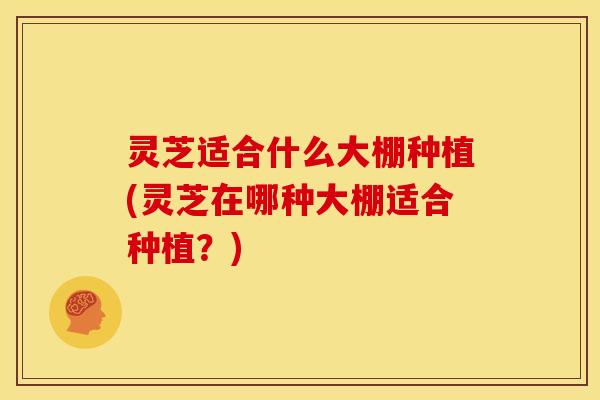 灵芝适合什么大棚种植(灵芝在哪种大棚适合种植?)