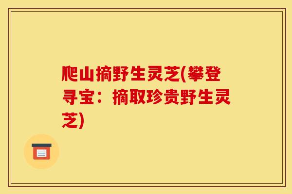 爬山摘野生灵芝(攀登寻宝：摘取珍贵野生灵芝)