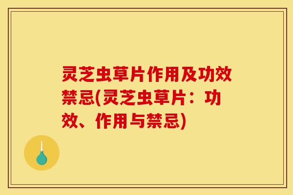 灵芝虫草片作用及功效禁忌(灵芝虫草片:功效、作用与禁忌)
