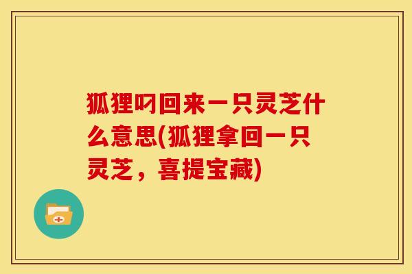 狐狸叼回来一只灵芝什么意思(狐狸拿回一只灵芝,喜提宝藏)