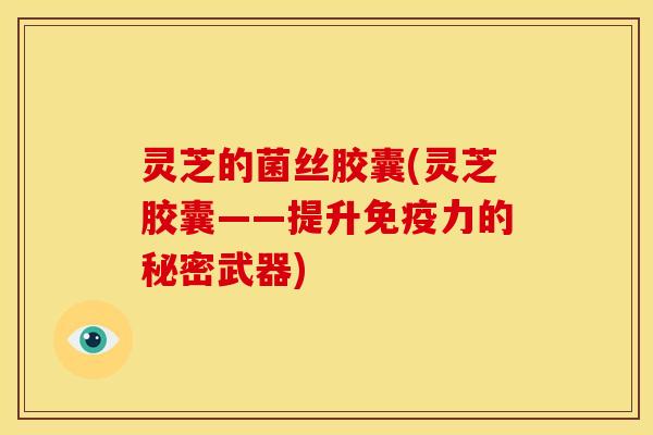 灵芝的菌丝胶囊(灵芝胶囊——提升免疫力的秘密武器)