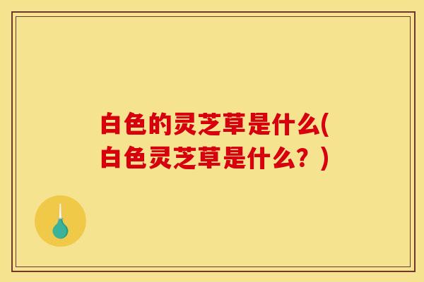 白色的灵芝草是什么(白色灵芝草是什么?)