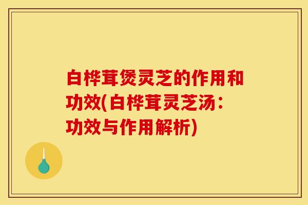 白桦茸煲灵芝的作用和功效(白桦茸灵芝汤:功效与作用解析)