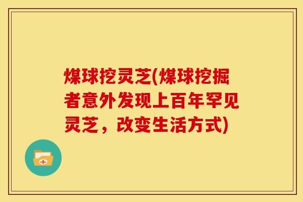 煤球挖灵芝(煤球挖掘者意外发现上百年罕见灵芝,改变生活方式)