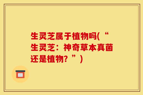 生灵芝属于植物吗(“生灵芝：神奇草本真菌还是植物？”)