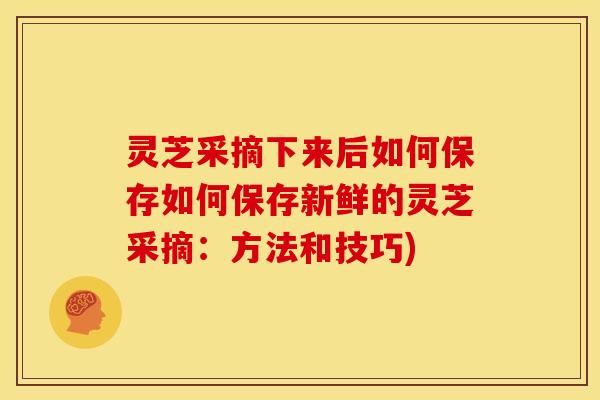 灵芝采摘下来后如何保存如何保存新鲜的灵芝采摘:方法和技巧)