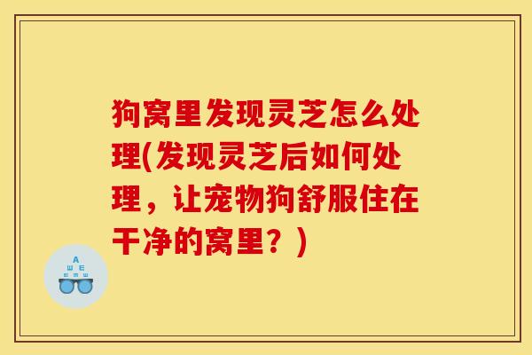 狗窝里发现灵芝怎么处理(发现灵芝后如何处理,让宠物狗舒服住在干净的窝里?)