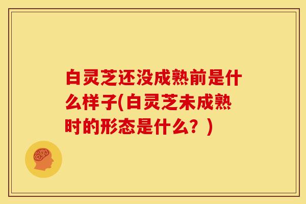 白灵芝还没成熟前是什么样子(白灵芝未成熟时的形态是什么？)