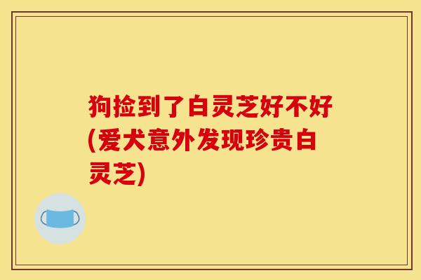 狗捡到了白灵芝好不好(爱犬意外发现珍贵白灵芝)