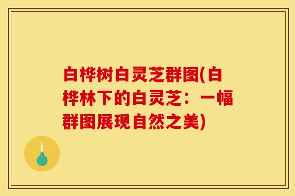 白桦树白灵芝群图(白桦林下的白灵芝:一幅群图展现自然之美)