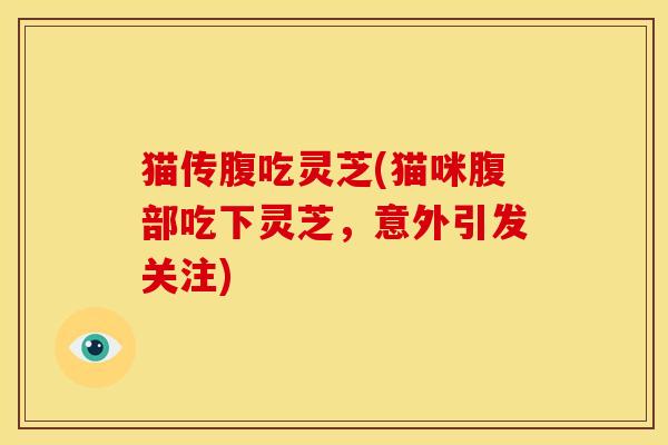猫传腹吃灵芝(猫咪腹部吃下灵芝,意外引发关注)