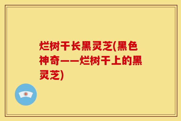 烂树干长黑灵芝(黑色神奇——烂树干上的黑灵芝)
