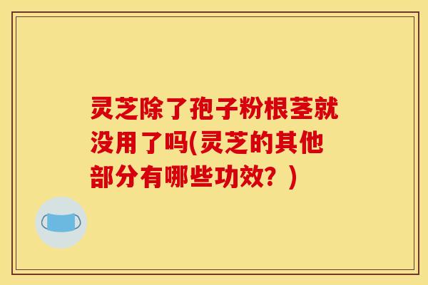 灵芝除了孢子粉根茎就没用了吗(灵芝的其他部分有哪些功效?)
