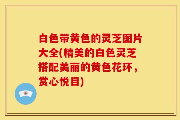 白色带黄色的灵芝图片大全(精美的白色灵芝搭配美丽的黄色花环,赏心悦目)