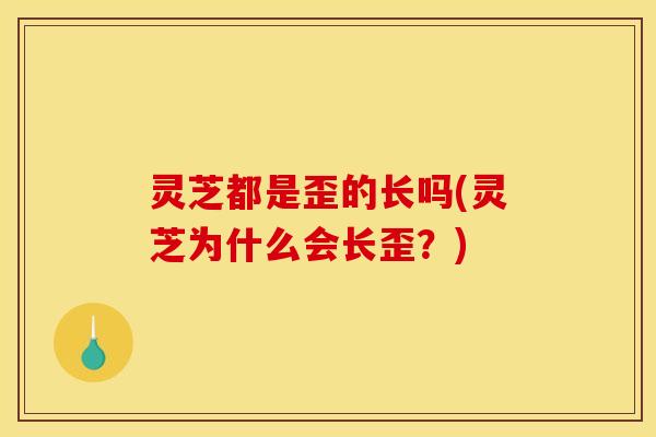 灵芝都是歪的长吗(灵芝为什么会长歪？)