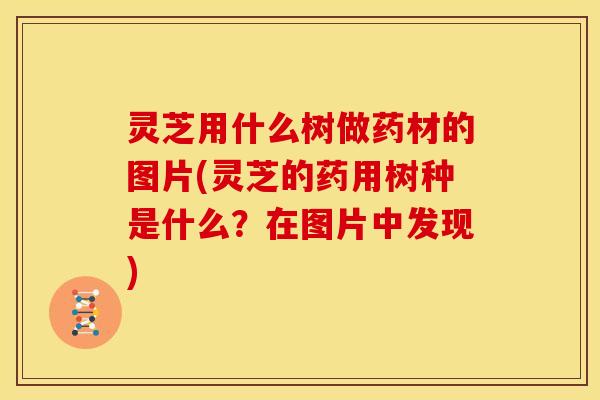 灵芝用什么树做药材的图片(灵芝的药用树种是什么？在图片中发现)
