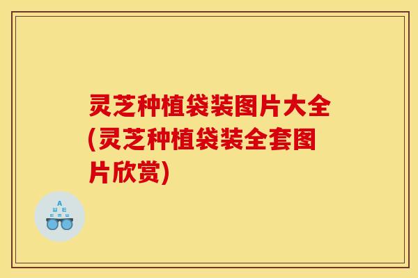 灵芝种植袋装图片大全(灵芝种植袋装全套图片欣赏)