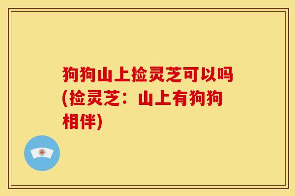 狗狗山上捡灵芝可以吗(捡灵芝:山上有狗狗相伴)