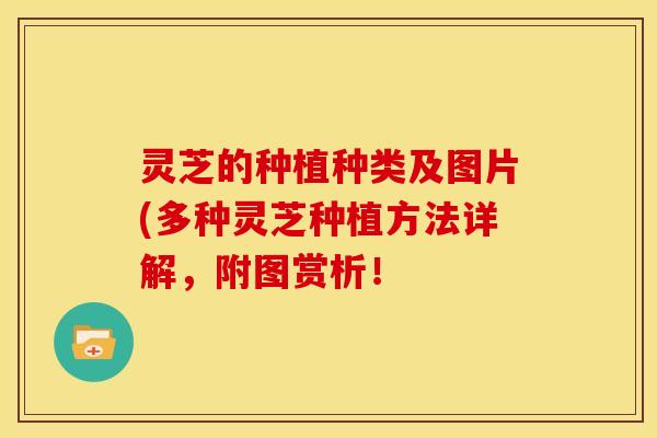 灵芝的种植种类及图片(多种灵芝种植方法详解,附图赏析!