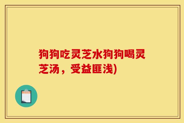 狗狗吃灵芝水狗狗喝灵芝汤,受益匪浅)