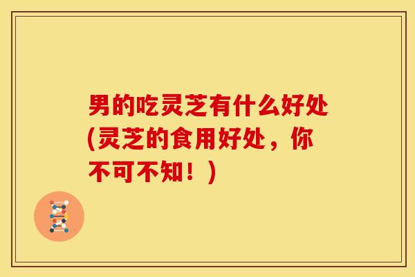 男的吃灵芝有什么好处(灵芝的食用好处,你不可不知!)