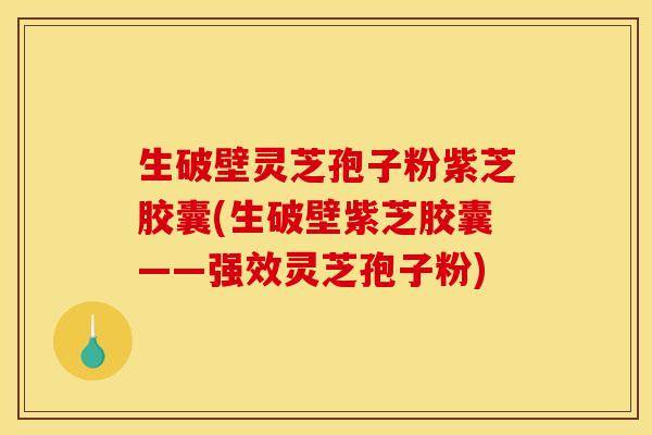 生破壁灵芝孢子粉紫芝胶囊(生破壁紫芝胶囊——强效灵芝孢子粉)