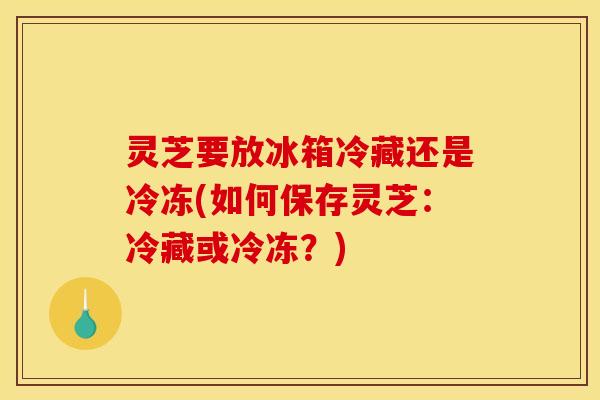 灵芝要放冰箱冷藏还是冷冻(如何保存灵芝:冷藏或冷冻?)