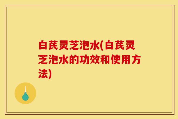 白芪灵芝泡水(白芪灵芝泡水的功效和使用方法)