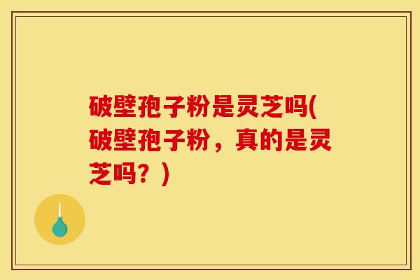 破壁孢子粉是灵芝吗(破壁孢子粉,真的是灵芝吗?)