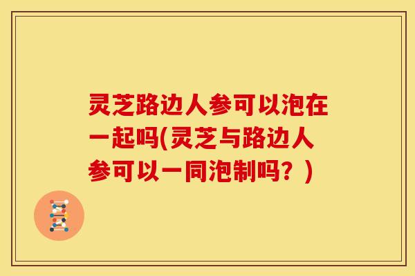 灵芝路边人参可以泡在一起吗(灵芝与路边人参可以一同泡制吗?)
