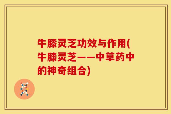 牛膝灵芝功效与作用(牛膝灵芝——中草药中的神奇组合)
