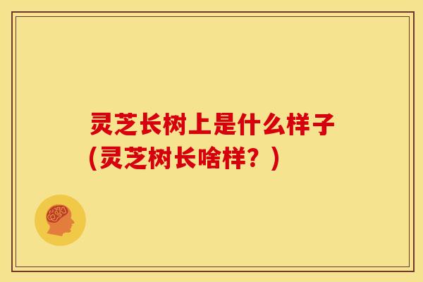 灵芝长树上是什么样子(灵芝树长啥样?)